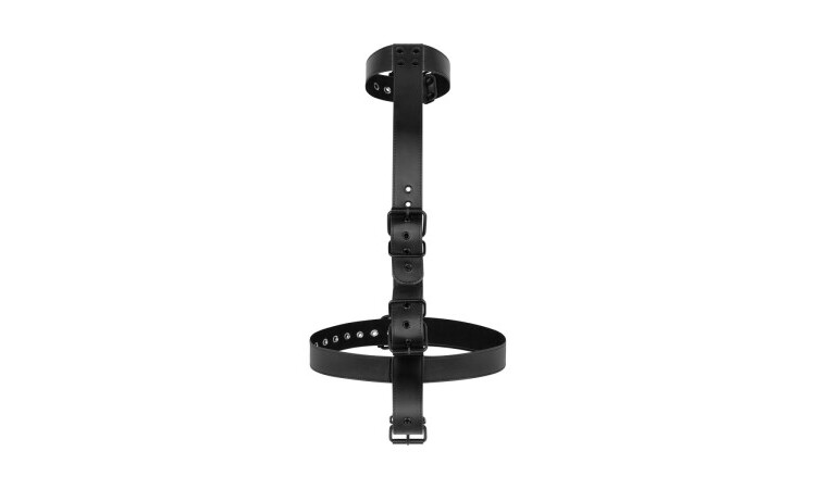 Collar with Wrist Cuffs Body Restraint Set - Image 5