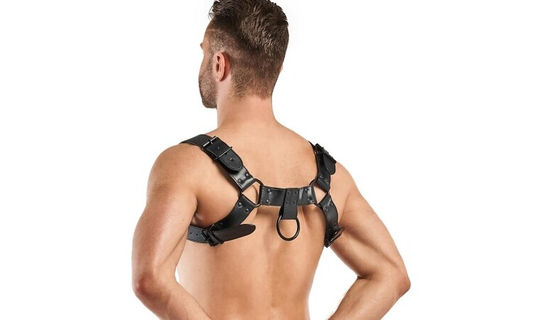 Bruno Bondage Harness - Black - Image 2