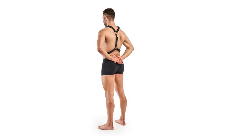 Max Bondage Harness - Black - Image 6