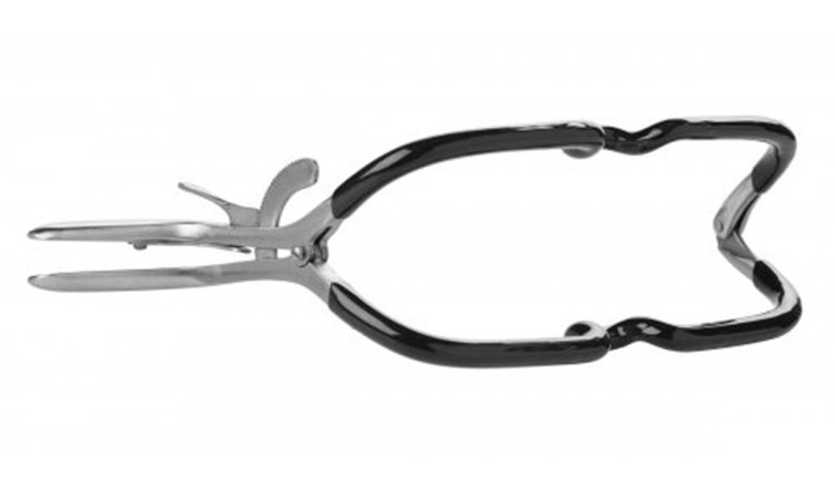 Rubber Coated Stainless Steel Jennings Gag - Image 2