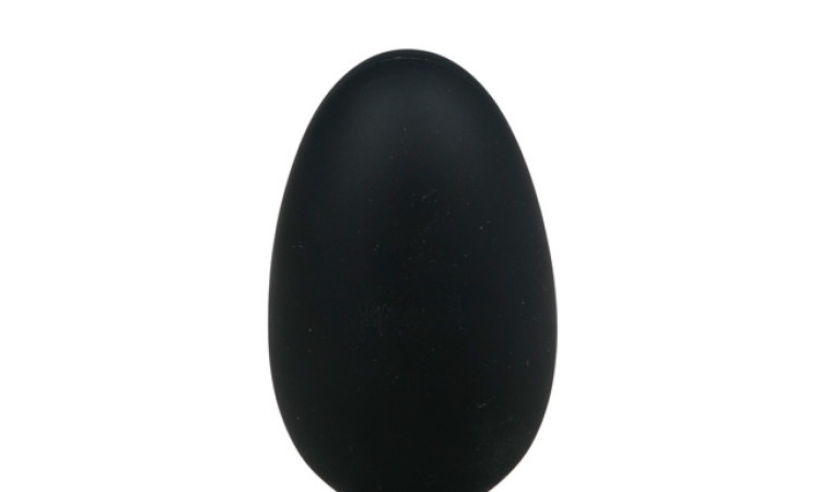 Large Silicone Plug - Image 2