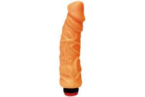 Multi Speed Vibrator - Pascha