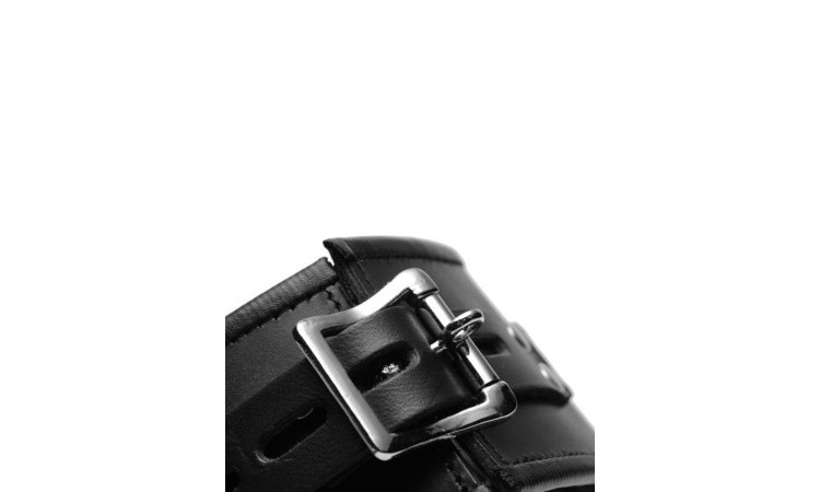 Padded Leather Locking Posture Collar - Image 4