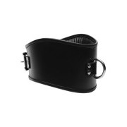 Padded Leather Locking Posture Collar - Image 1