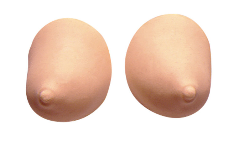 Dreaming of Big Breasts? - Image 1