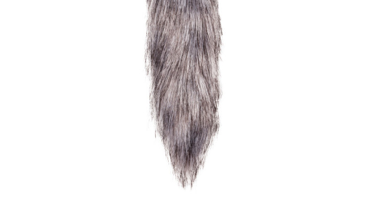 Fox Tail Plug - Image 4