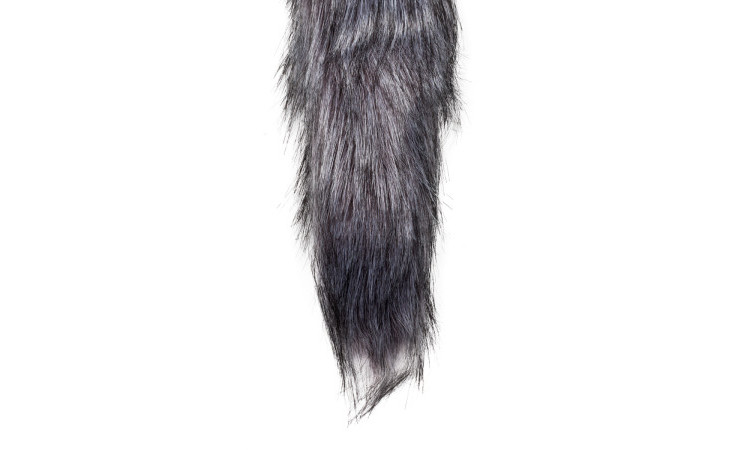 Fox Tail Plug - Image 4
