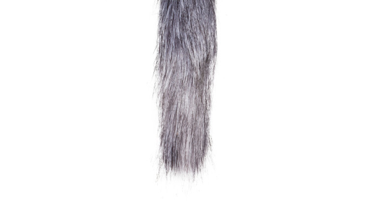 Fox Tail Plug - Image 4