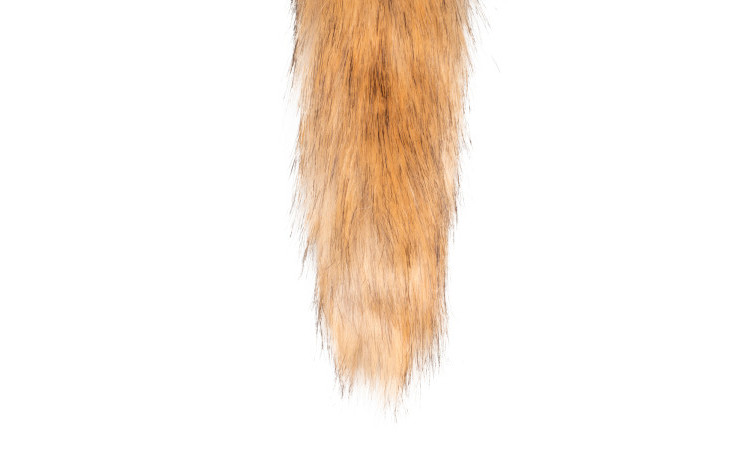 Fox Tail Plug - Image 4