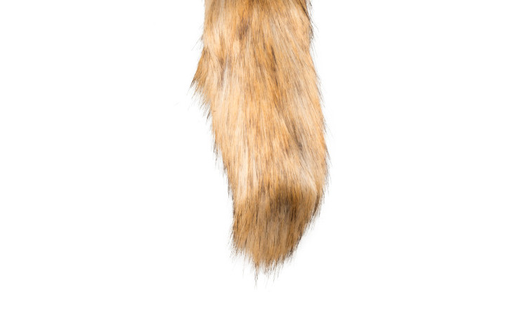 Fox Tail Plug - Image 4