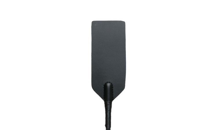Black Whip - Image 3