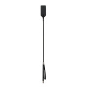 Black Whip - Image 1
