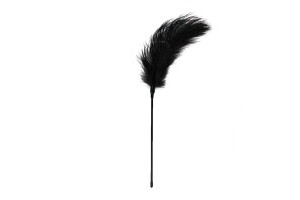 Black Feather Tickler