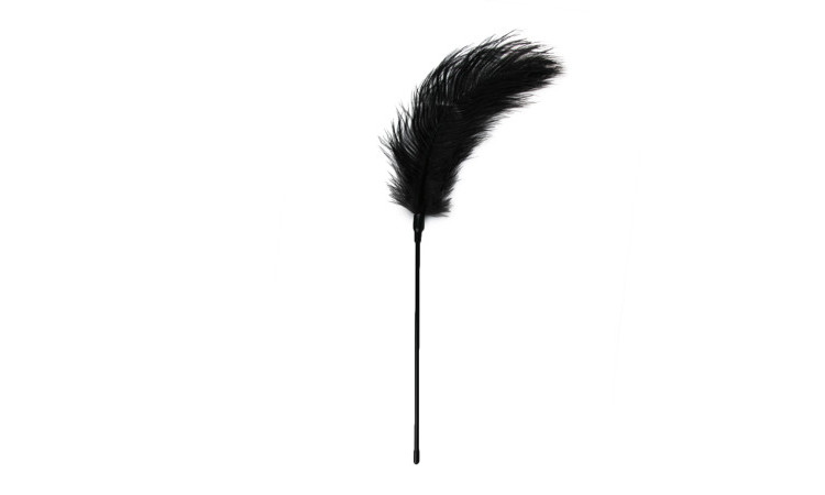 Black Feather Tickler - Image 1