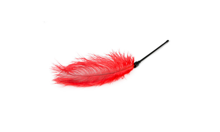 Red Feather Tickler - Image 3