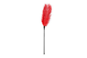 Red Feather Tickler