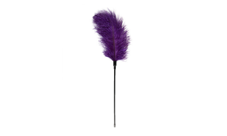 Purple Feather Tickler - Image 1