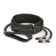 Leather Collar With Nipple Chains - Image 1