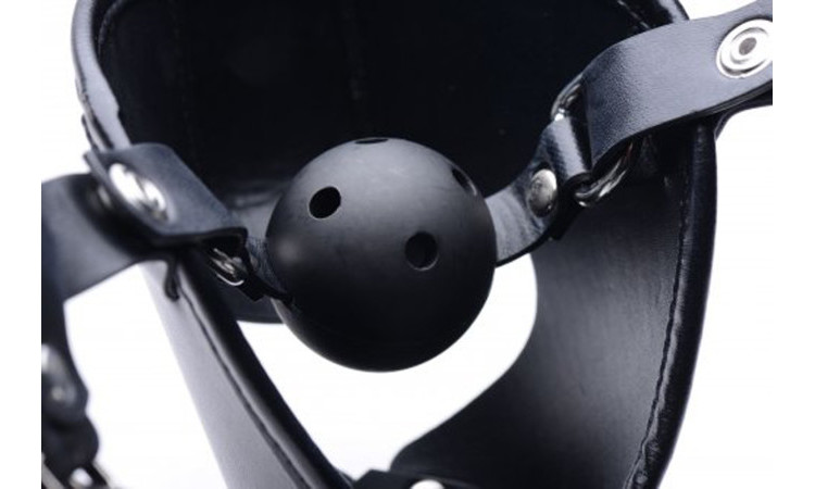 Puppy Play Mask With Ball Gag - Black - Image 2