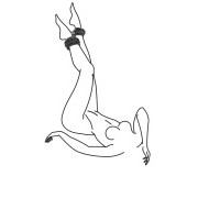 Fetish ankle cuffs - Image 2
