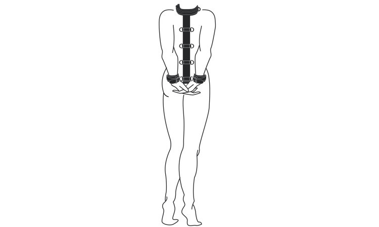 Neck and Wrist Restraint - Image 2