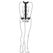 Neck and Wrist Restraint - Image 2