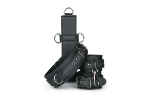 Neck and Wrist Restraint