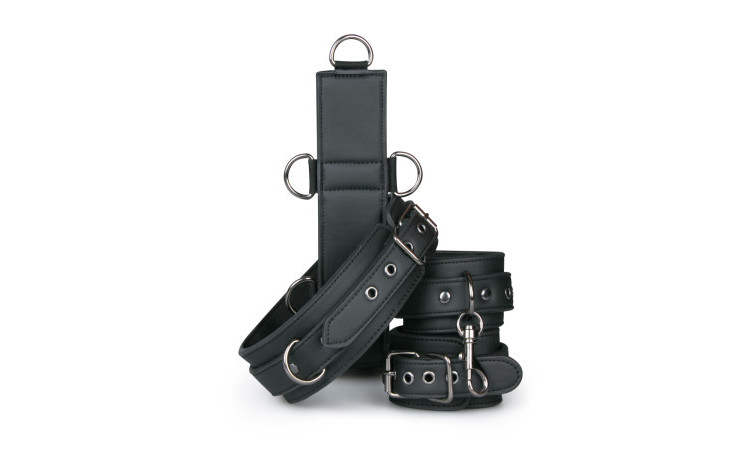 Neck and Wrist Restraint - Image 1