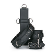 Neck and Wrist Restraint - Image 1