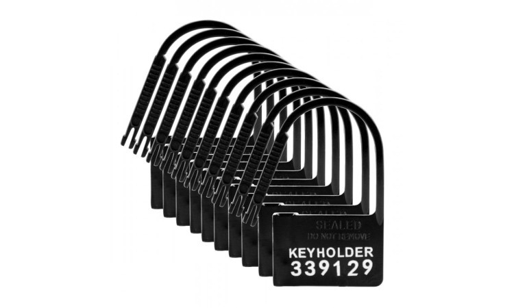 Keyholder 10 Pack Numbered Plastic Chastity Locks - Image 1