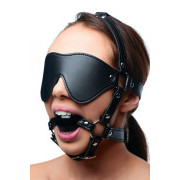Blindfold Harness and Ball Gag - Image 2