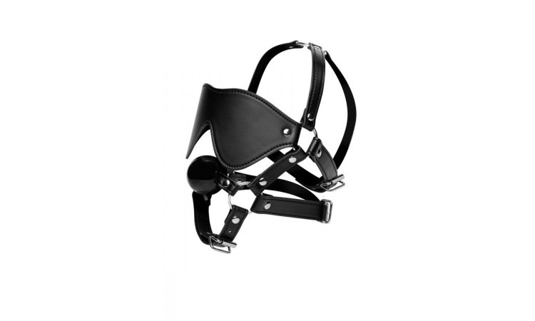 Blindfold Harness and Ball Gag - Image 1