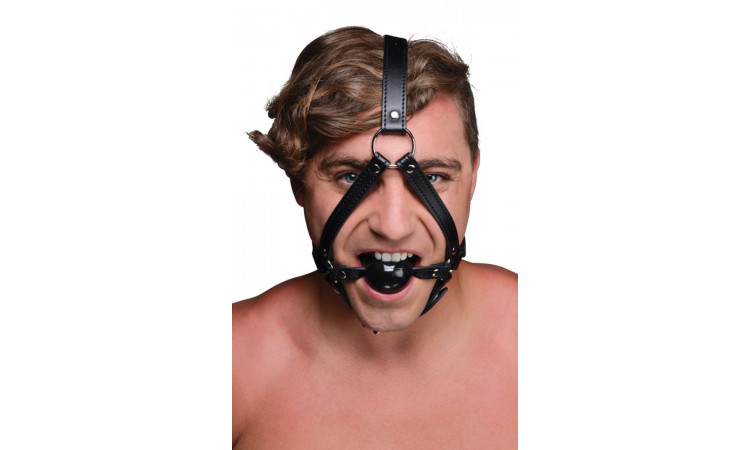 Head Harness With Ball Gag - Image 2