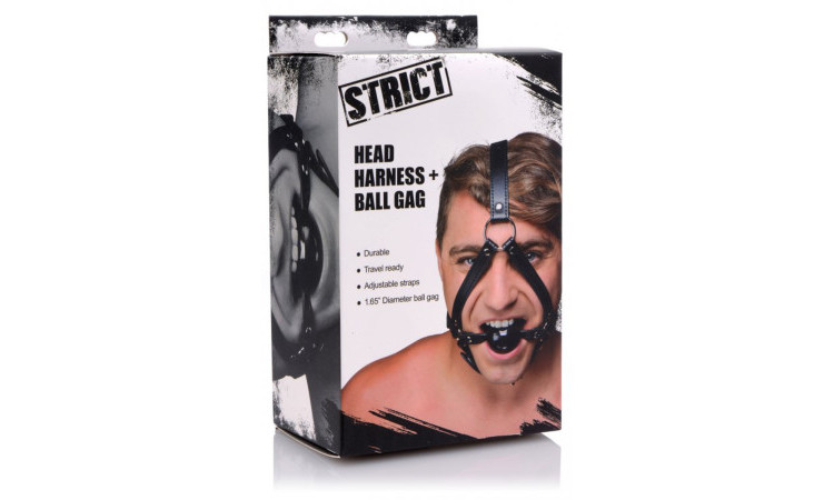 Head Harness With Ball Gag - Image 4