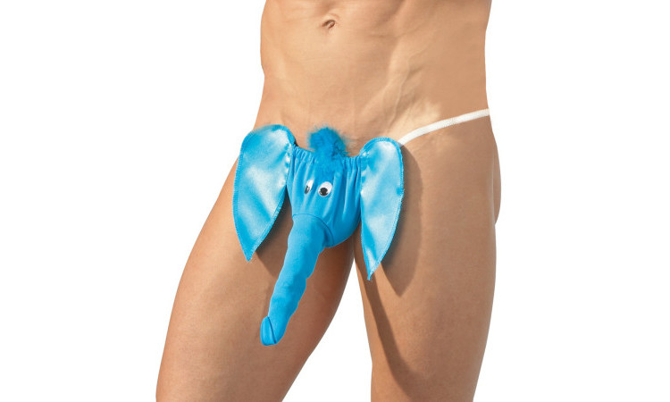 Elephant String - Image 2