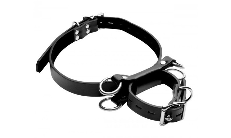 Frog Tie Restraints Thigh Cuffs - Image 1