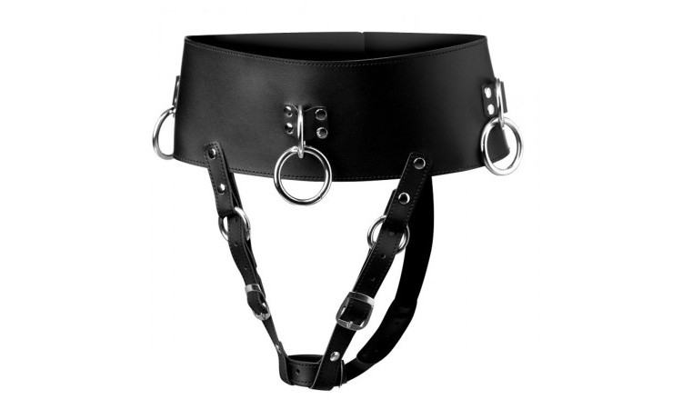 Forced Orgasm Belt - Image 1