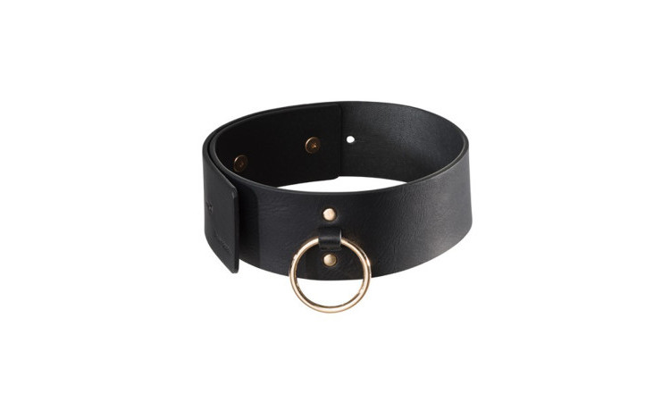 MAZE Collar With Leash - Image 5