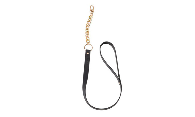MAZE Collar With Leash - Image 6