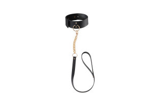 MAZE Collar With Leash
