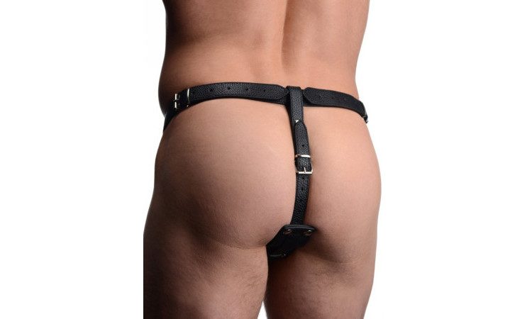 Harness With Cock Ring And Anal Plug - Image 5