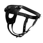 Ass Holster Anal Plug Harness - Image 1