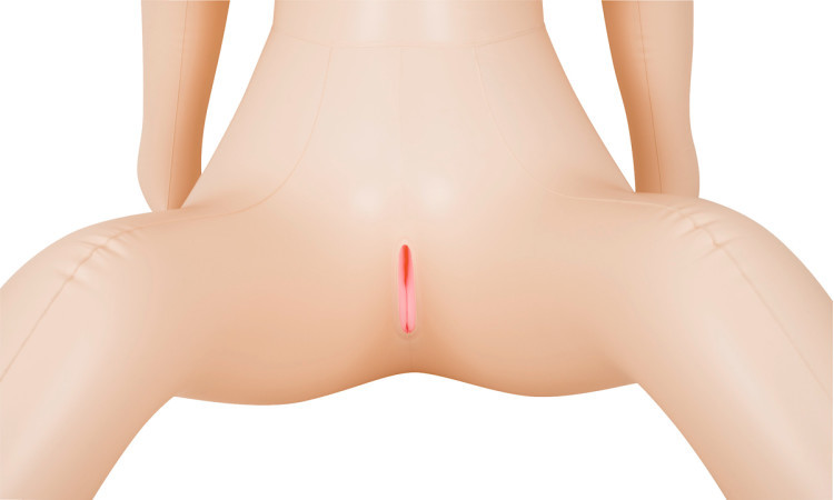 Bridget Big Boob Doll - Image 8