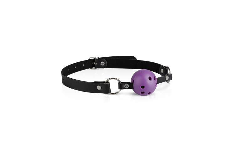 Secret Pleasure Chest - Purple Apprentice - Image 2