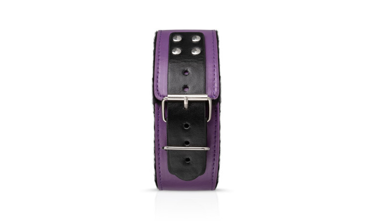 Secret Pleasure Chest - Purple Apprentice - Image 4