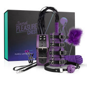 Secret Pleasure Chest - Purple Apprentice - Image 1