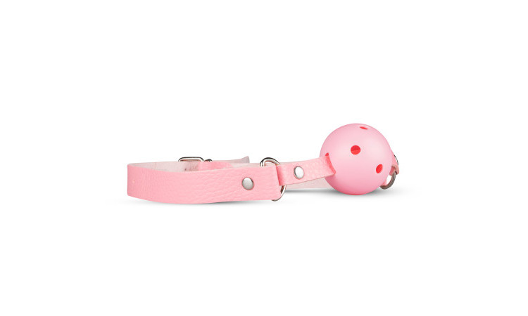 Secret Pleasure Chest - Pink Pleasure - Image 2