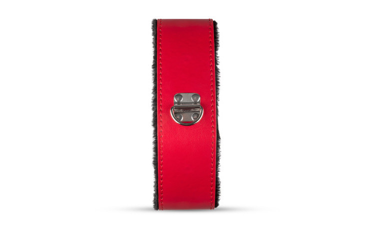Secret Pleasure Chest - Red Dragon - Image 7