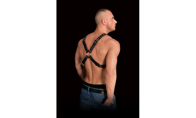 Adonis Chest Harness - Image 3