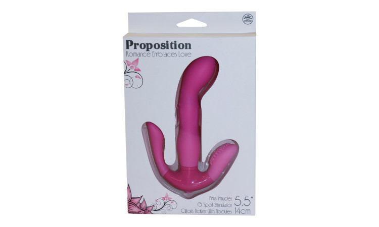 Proposition - Image 7
